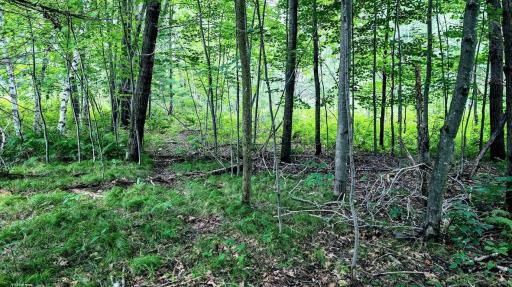00 Old Road 14, Rice Lake, WI 54868