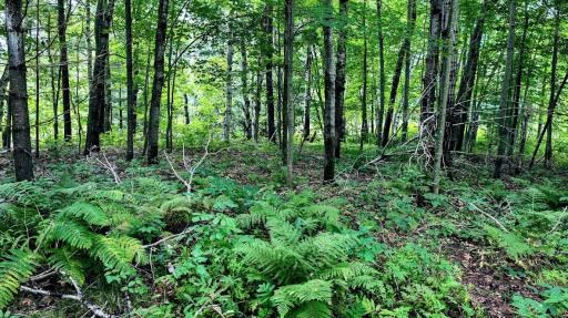 00 Old Road 14, Rice Lake, WI 54868