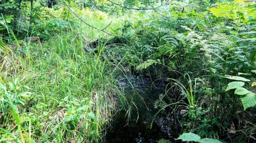 00 Old Road 14, Rice Lake, WI 54868