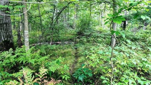 00 Old Road 14, Rice Lake, WI 54868