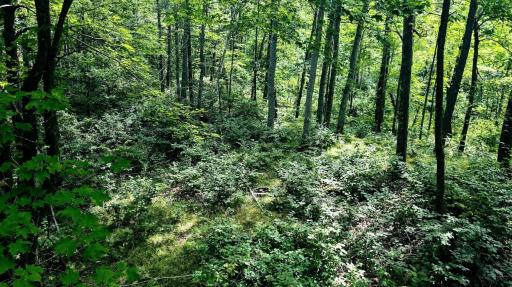 00 Old Road 14, Rice Lake, WI 54868