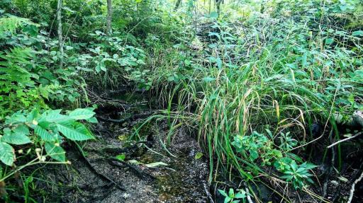 00 Old Road 14, Rice Lake, WI 54868