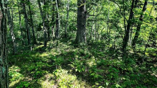 00 Old Road 14, Rice Lake, WI 54868