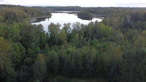 Parcel B E Gunn Lake Trail, Marcell MN 56657