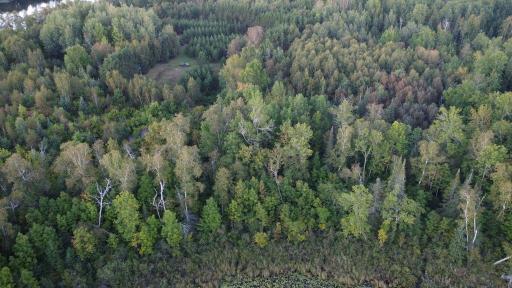 Parcel B E Gunn Lake Trail, Marcell, MN 56657