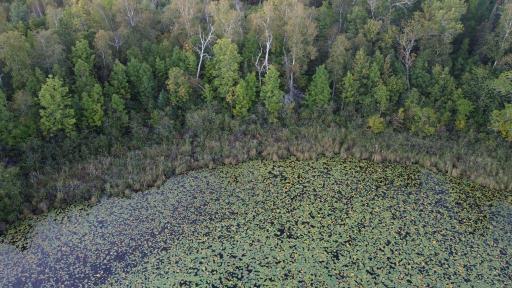 Parcel B E Gunn Lake Trail, Marcell, MN 56657