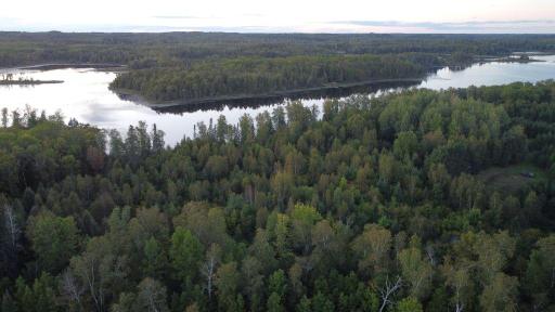 Parcel B E Gunn Lake Trail, Marcell, MN 56657