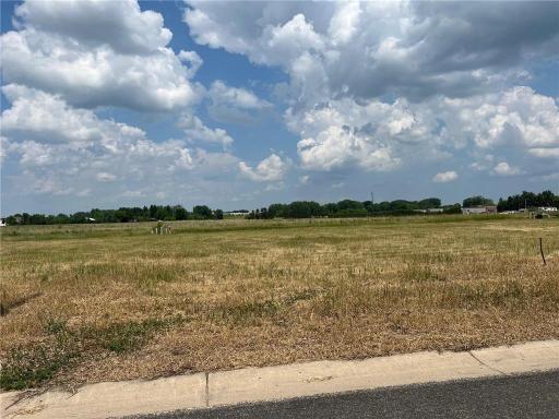709 W 8th Street, Litchfield, MN 55355