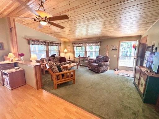 12307 Whitefish Avenue, Crosslake, MN 56442