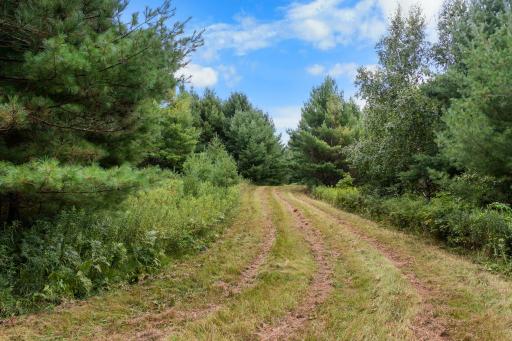 TBD County F Road, Spooner, WI 54888