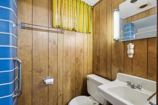 Lower Level Bathroom