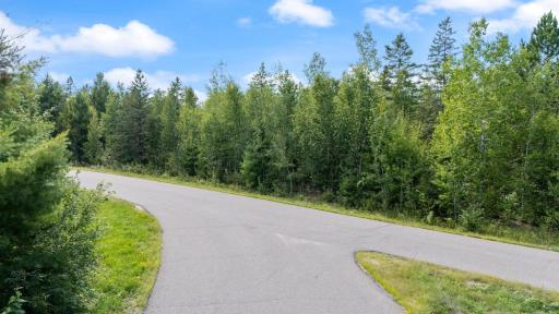 Pine Tree Lane