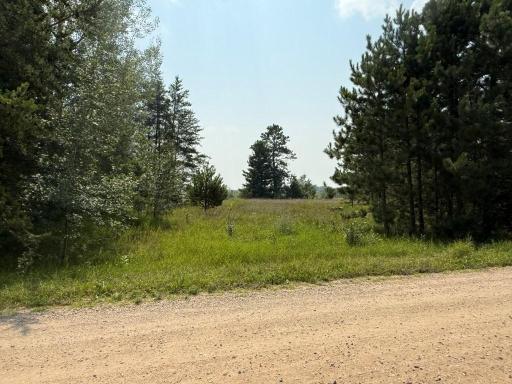 TBD Pony Lake Road NW, Bemidji, MN 56601