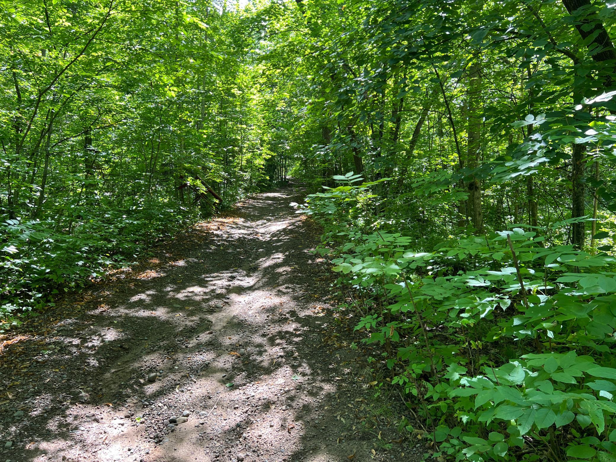 IMG_9798.JPG