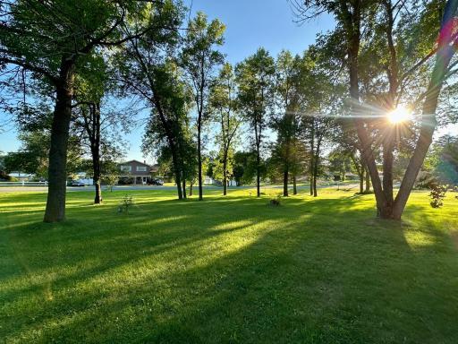 1.15 Mature Acres with filtered views of Crawford Lake