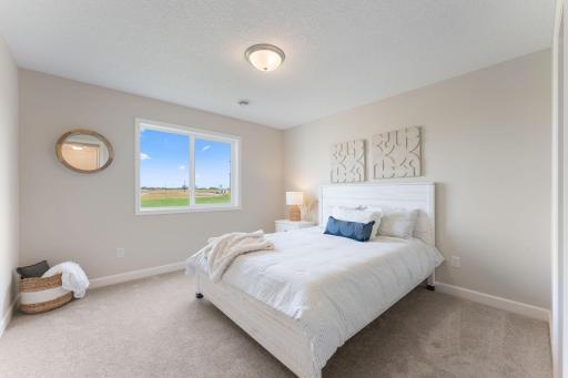 Lower level bedroom with walk-in closet