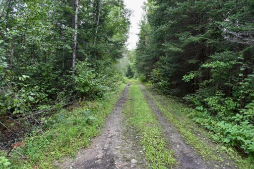 8475 HWY 73, Angora, MN 55703