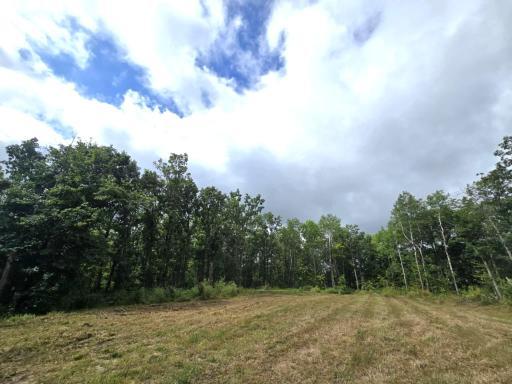 Photo for TBD State Highway 210, Deerwood, MN 56444 - listing #6777552 TBD State Highway 210, Deerwood, MN 56444