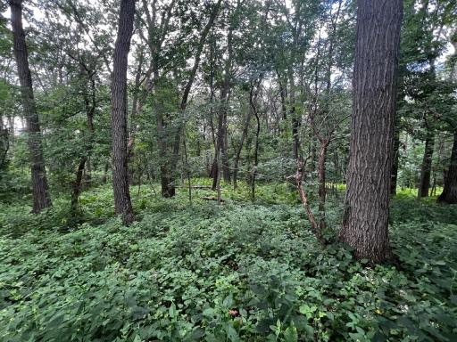 N33XX W Bluff Rd N, Stockholm, WI 54769