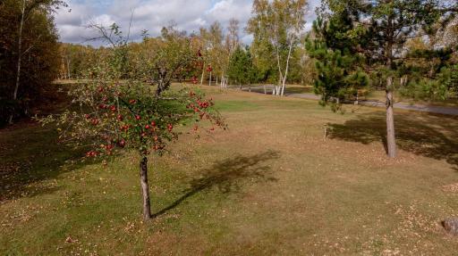 Hackensack, MN 56452