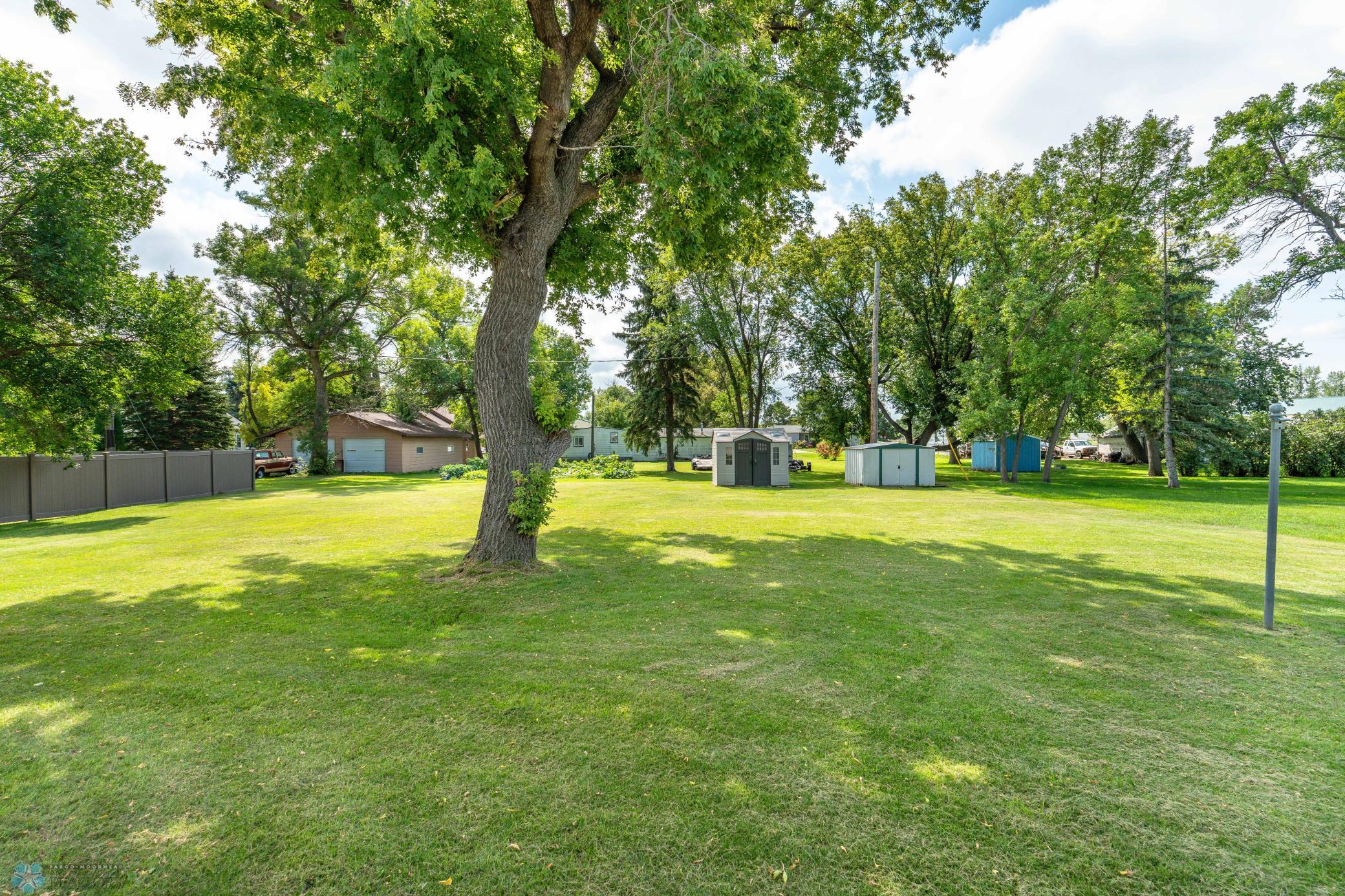 Great Yard Space