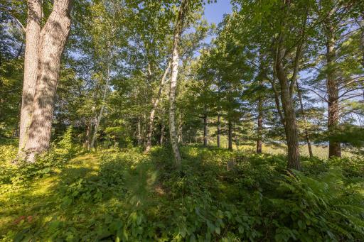 1292 Larrup Trail SW, Pine River, MN 56474