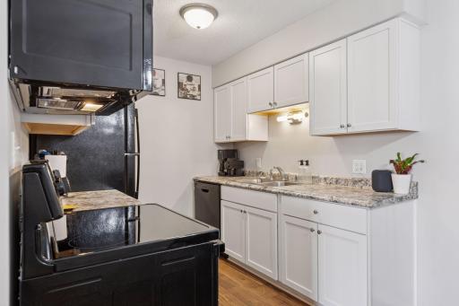 New kitchen cabinets, counters, fixtures, appliances and flooring in 2021