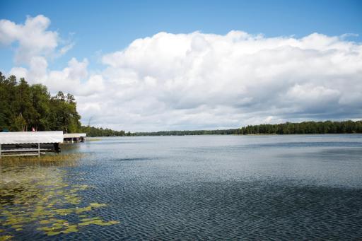 13314 Blackberry Drive, Nevis, MN 56467
