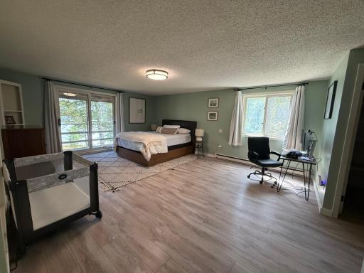 13314 Blackberry Drive, Nevis, MN 56467