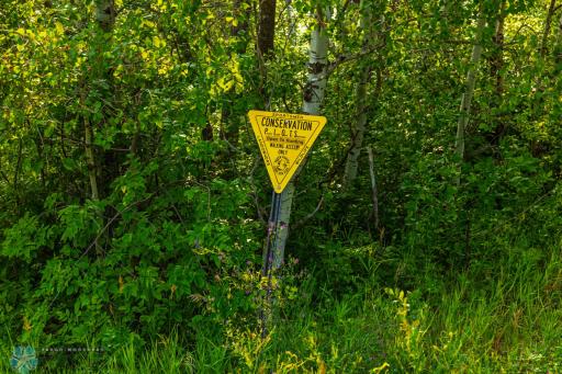 TBD Hwy 43, Bottineau, ND 58318
