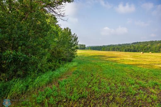 TBD Hwy 43, Bottineau, ND 58318