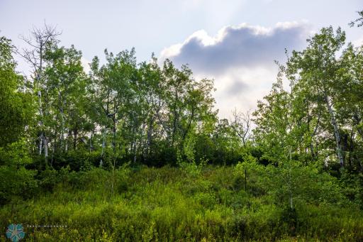 TBD Hwy 43, Bottineau, ND 58318