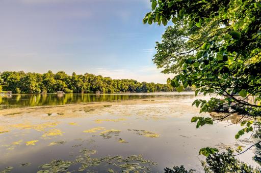 Combined with Lake Louisa, these lakes sprawl out over 300 acres of full recreation fun!