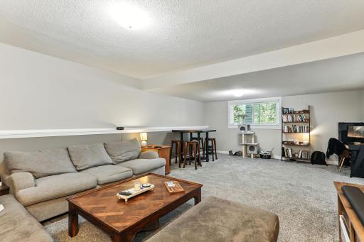 673 Concord Drive, Chaska, MN 55318