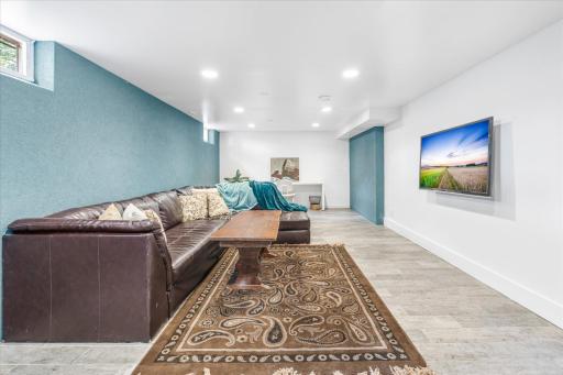 Lower level family room
