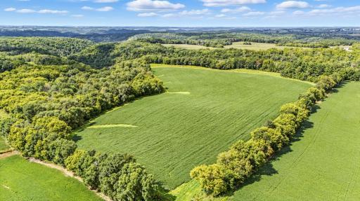 TBD 310th Street Street, Maiden Rock, WI 54750