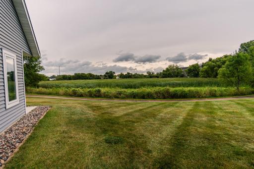 431 Pintail Circle, Annandale, MN 55302