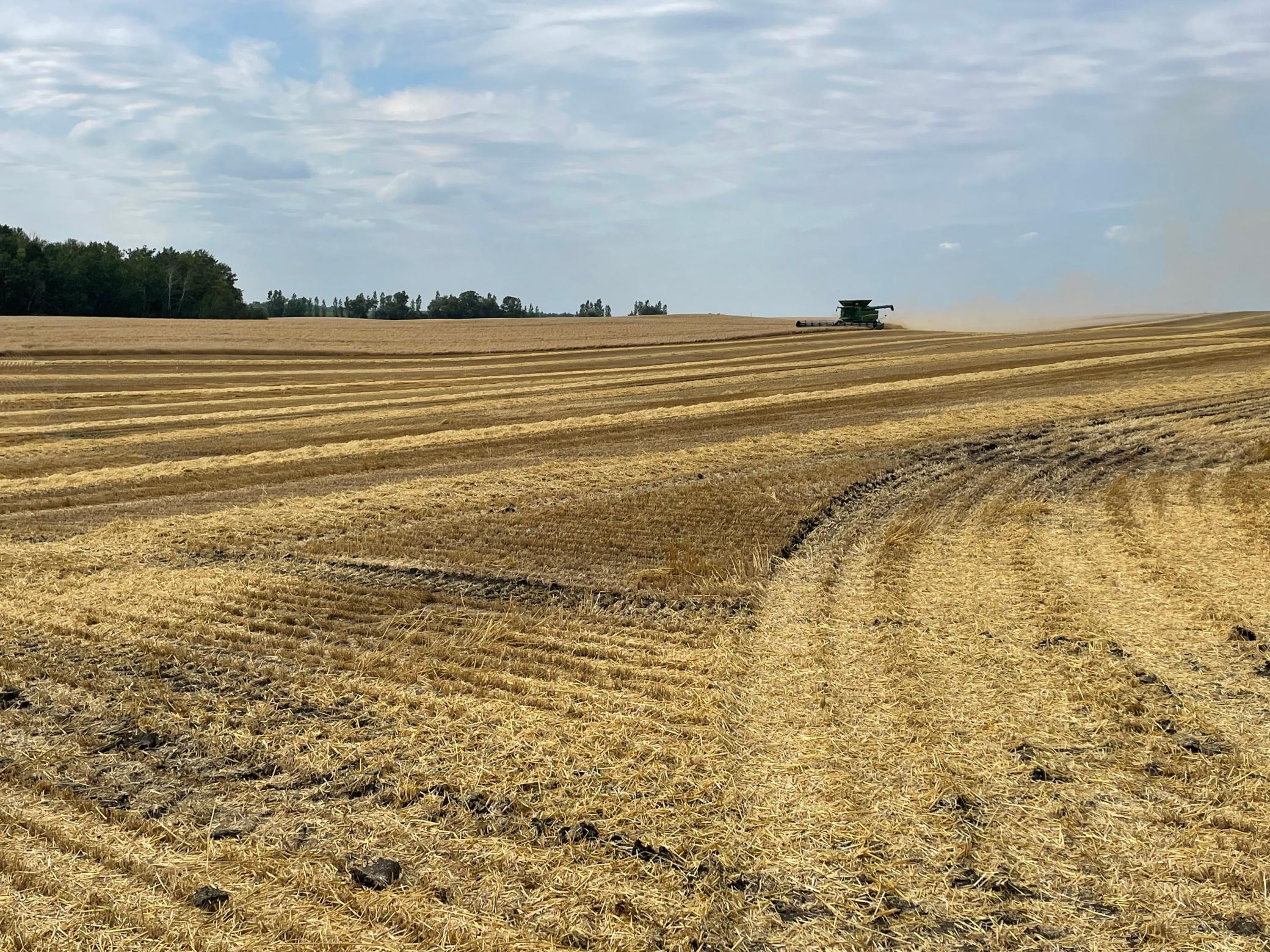 IMG_5744.JPG