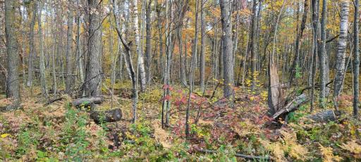 6436 County Road 11, Pequot Lakes, MN 56472