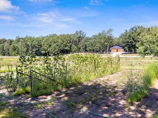 15605 28th Avenue, South Haven, MN 55382