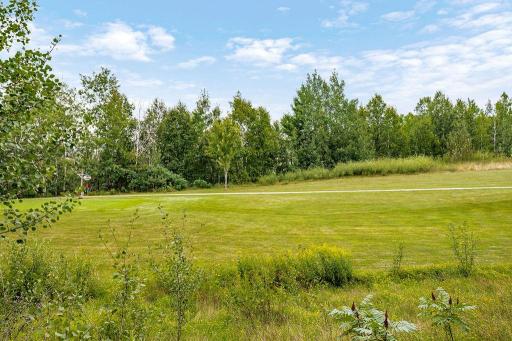 160 Pine Tree Lane, Coleraine, MN 55722