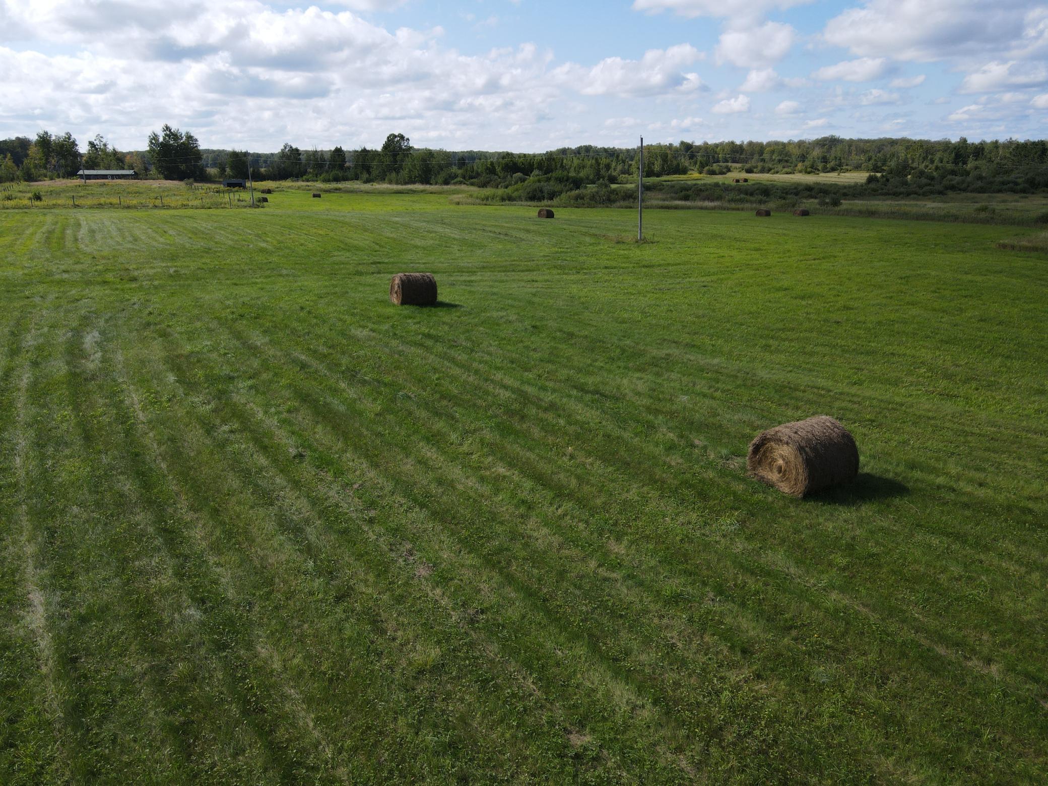 Plenty of tillable ground