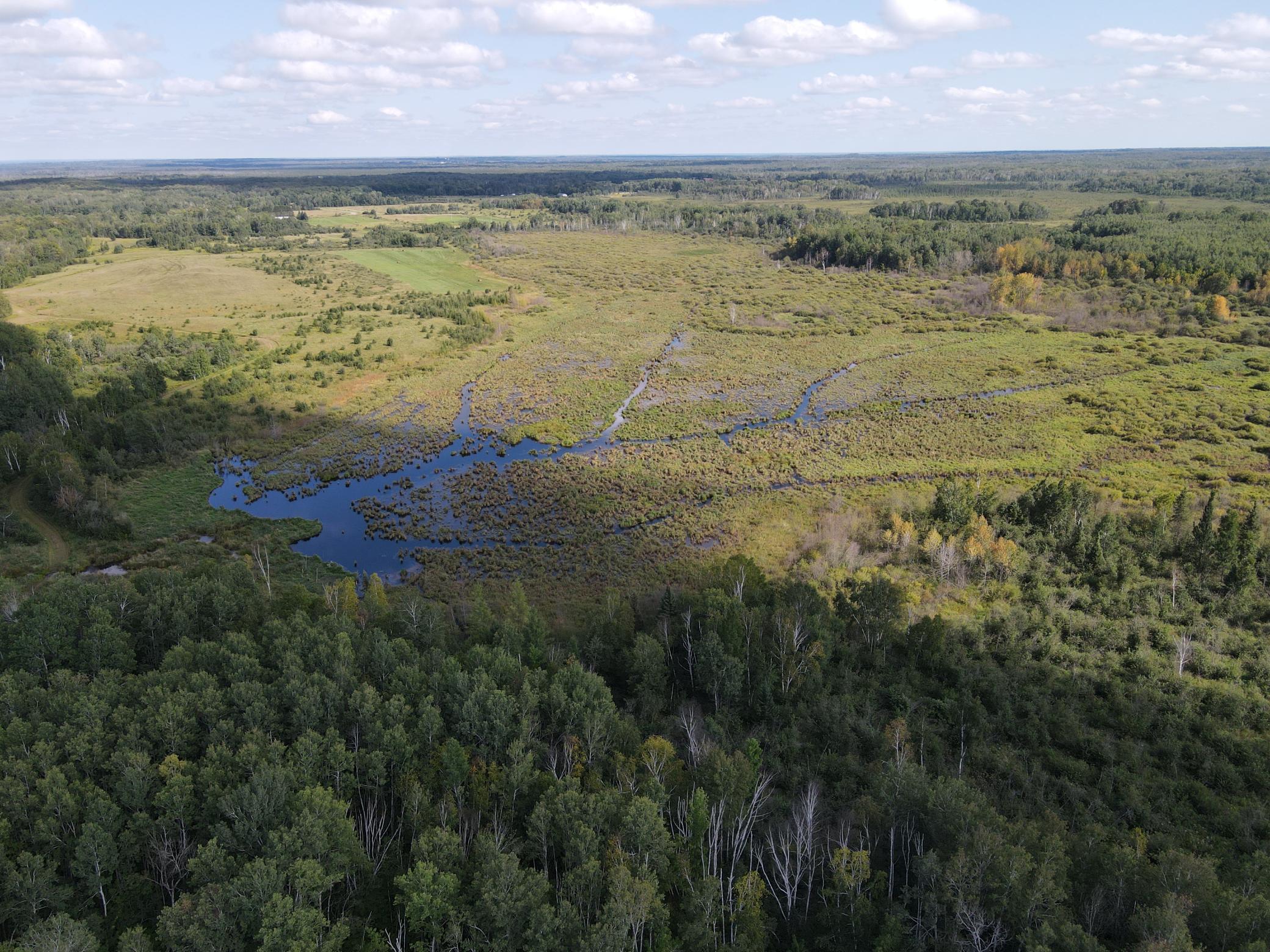 Some wetlands near the NW corner