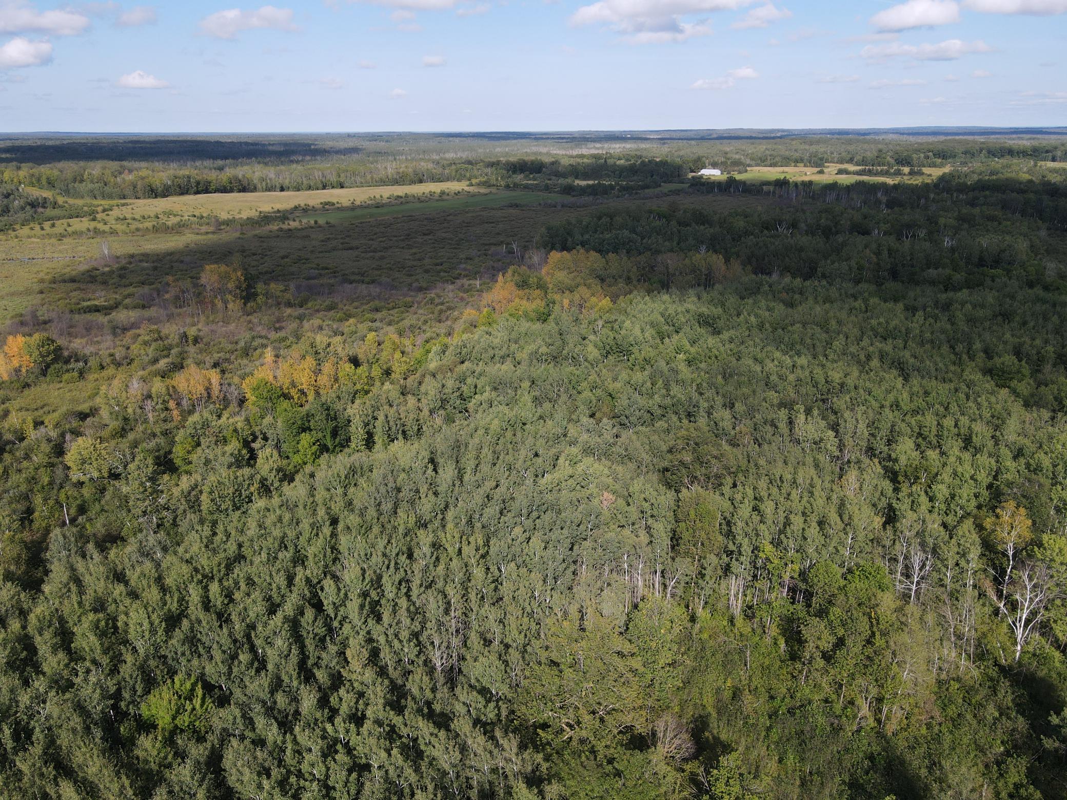 Nice mix of forest and field