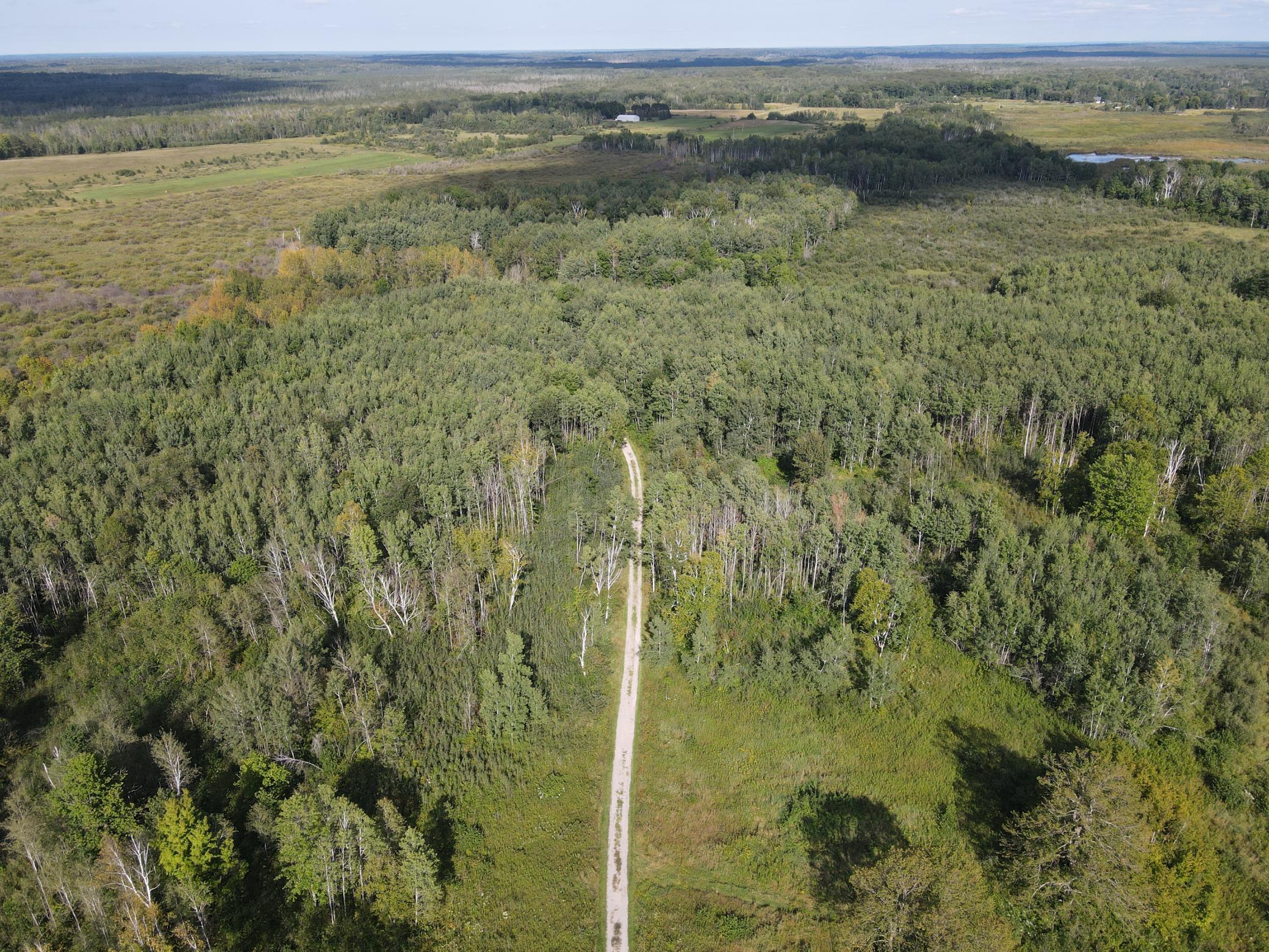 Property facing East from the SW corner