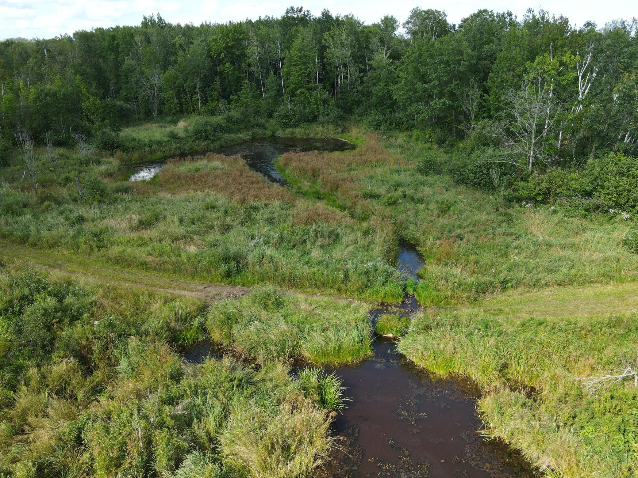 Flowing creek on the NW corner