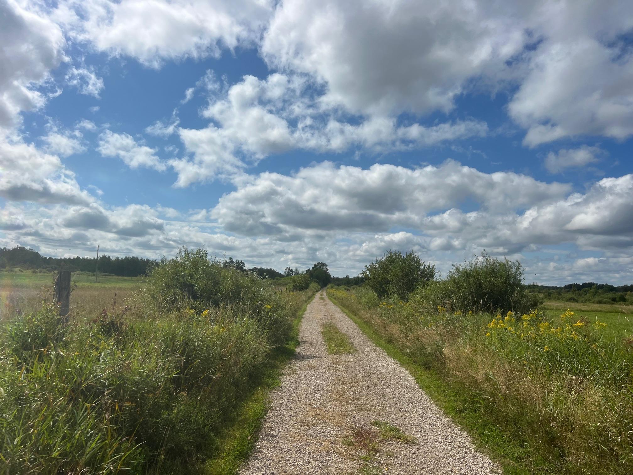 Quality roads make almost everything easily accessable