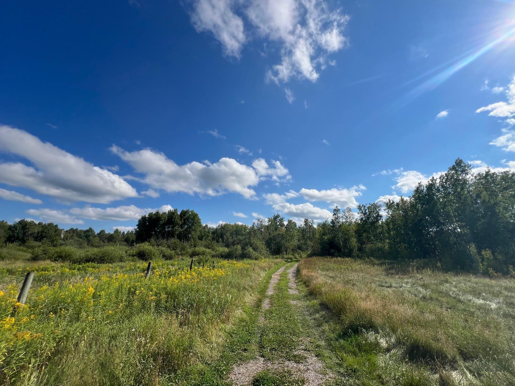 Road network on the land