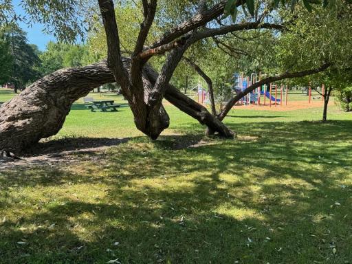 Beautiful park with tennis courts and more very close