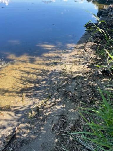 17150 705th Avenue, Dassel, MN 55325